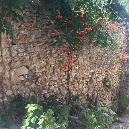 Il Gelsomino Casa vacanze Toffia